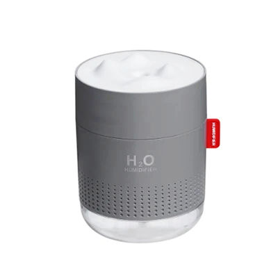 NO Private Mould Design ABS PP Silica Gel Materiaal Huishoudelijke luchtbevochtiger Draagbaar en Compact