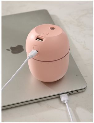 Andere functie Ultrasone luchtbevochtiger H2o Mini Cup Spray Mist voor auto USB luchtbevochtiger