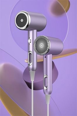 Hoteelsalon Huishoudelijk Haardroger High Speed Air Styler Warmluchtborstel voor Professionals