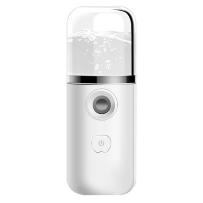 Draagbare Pocket Mist Steamer USB Oplaadbare Nano Facial Mister Mini Face Sprayer