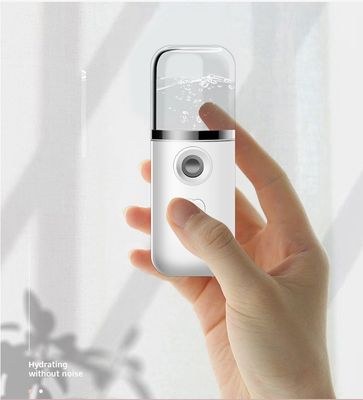 Draagbare Pocket Mist Steamer USB Oplaadbare Nano Facial Mister Mini Face Sprayer