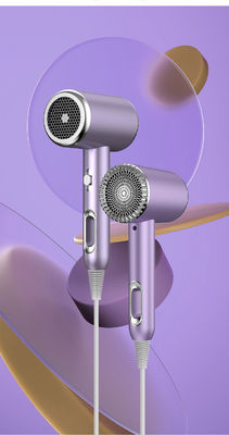 Hotel Huishoudelijk Haardroger met hoge snelheid Air Styler Salon Warmluchtborstel met metalen lichaam
