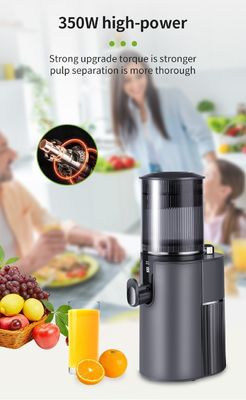 Commerciële koude pers Verticale grote mond sapmachines Extractoren Machine sap extractor Langzame sapmachine