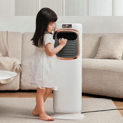 Silk Screen Printing Pattern Dual-purpose Airconditioning Fan met 3 seconden verwarming
