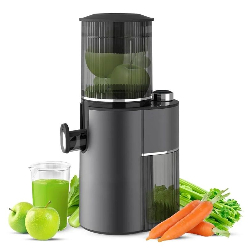 Oorspronkelijke Fruit Vegetable Juice Cold Press Slow Juicer Machine zonder App-Control